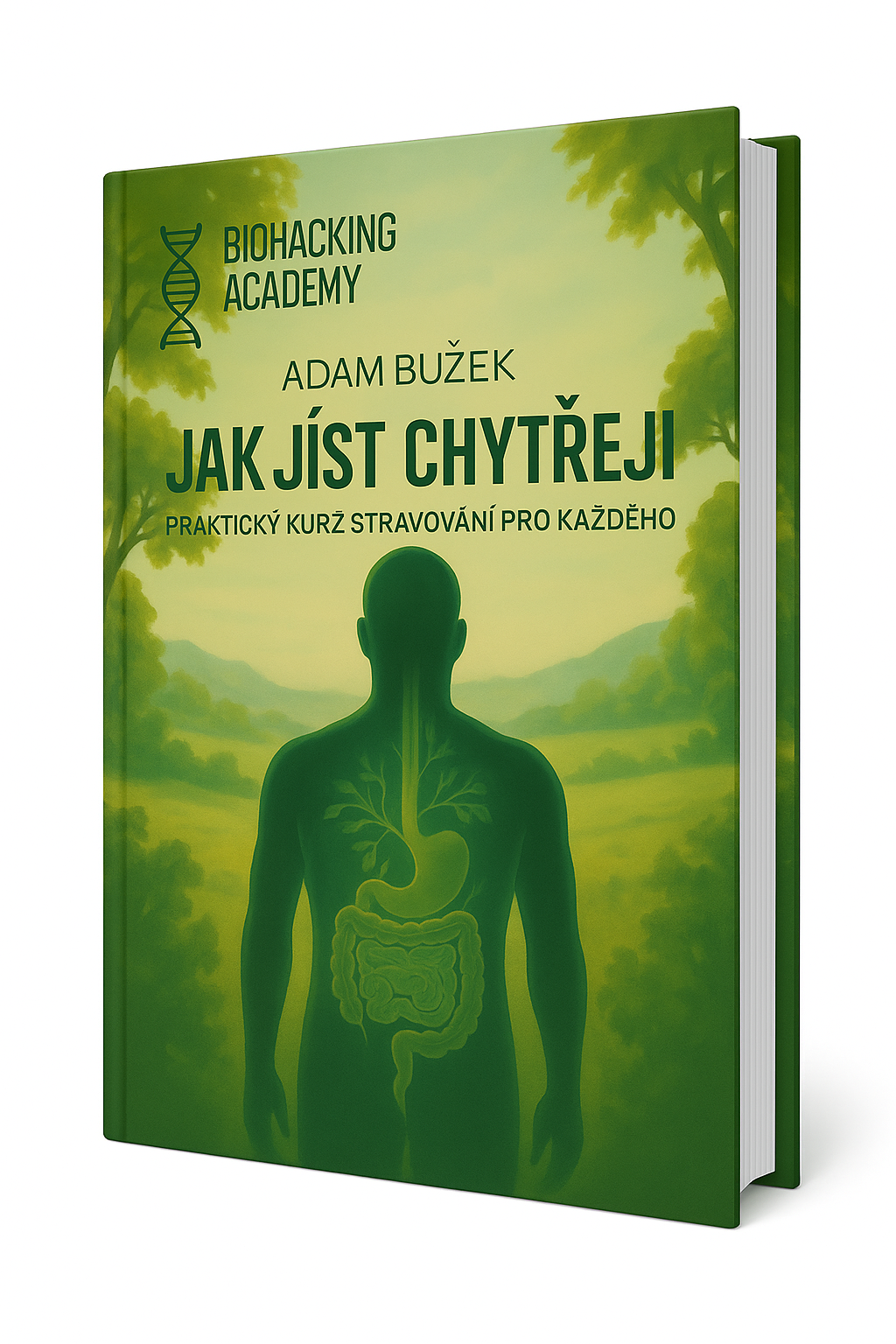 Online protokoly