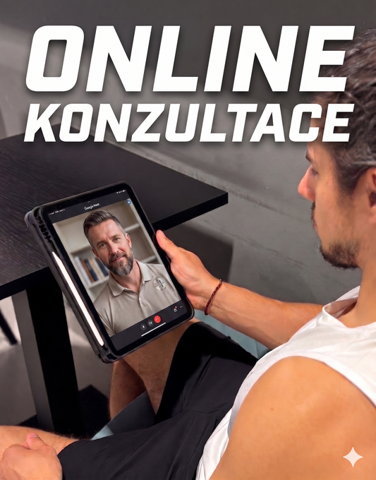 Online konzultace