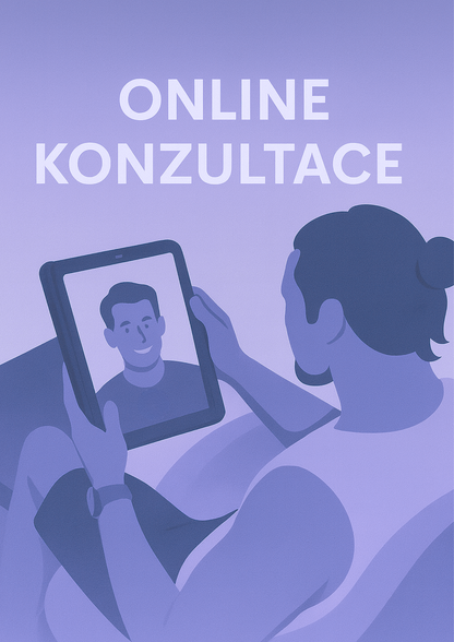 Online konzultace