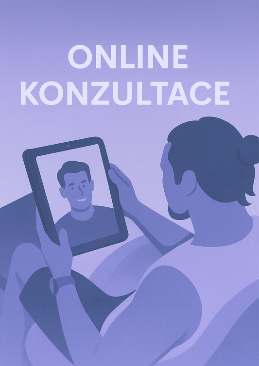 Online konzultace